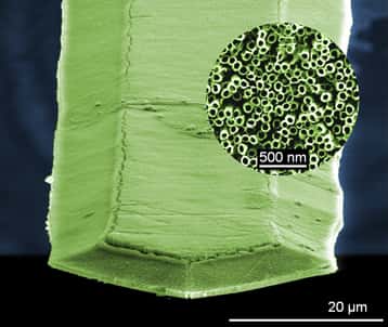 Vue d'ensemble du microlevier nanostructuré par des nanotubes alignés de dioxyde de titane. La fixation de molécule de TNT sur ces tubes modifie la fréquence de résonance du dispositif, trahissant ainsi leur présence. © Fabien Schnell, NS3E