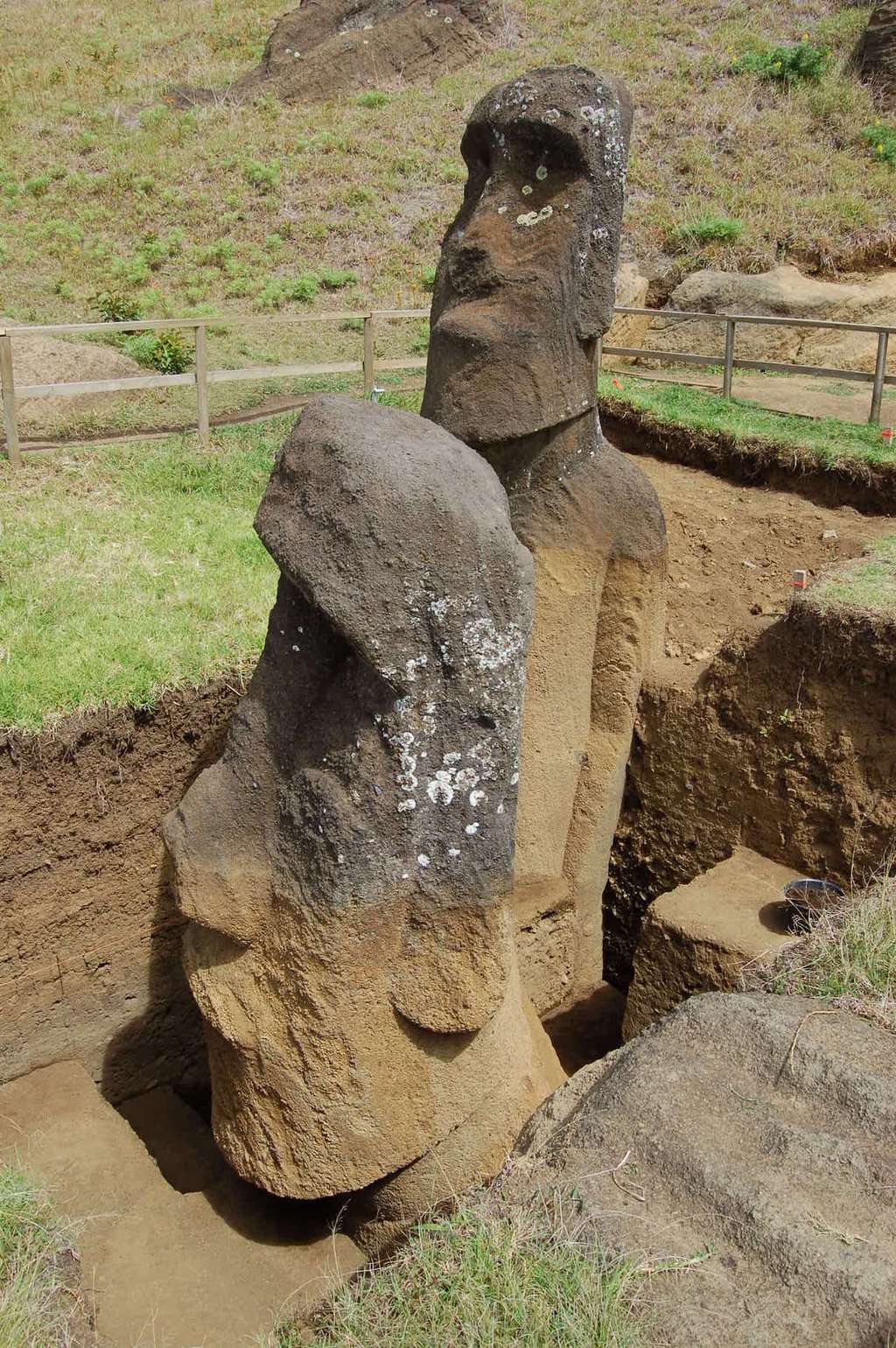 Les deux moaï que les chercheurs de l’université de Californie à Los Angeles (États-Unis) ont étudiés dans la carrière de Rano Raraku. © <em>Easter Island Statue Project</em>, Université de Californie
