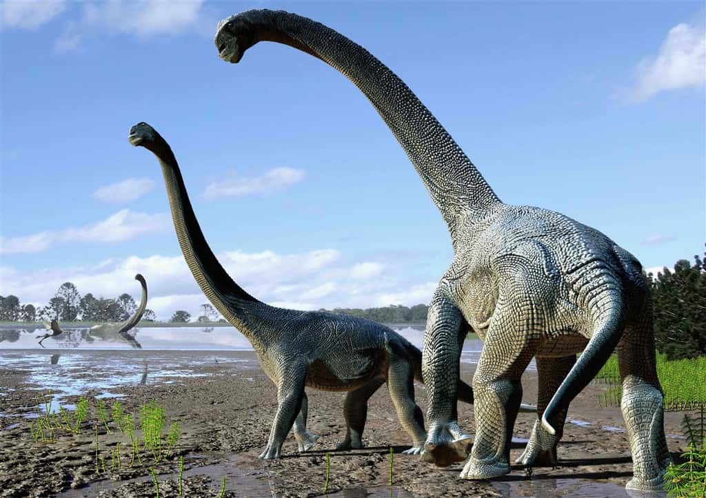 Une représentation d'artiste de <em>Savannasaurus elliottorum</em>, qui vivait il y a 98 millions d'années. Ces animaux pouvaient probablement peser de 15 à 20 tonnes. © <em>Australian Age of Dinosaurs</em>, 2016, tous droits réservés