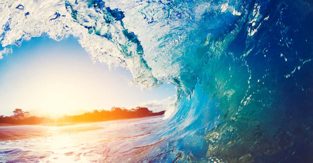 De quoi est composée l'eau salée des océans ? © EpicStockMedia, Shutterstock