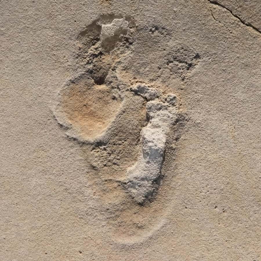 Cette trace de pas dans le sable est vieille de plus de six millions d’années. Elle pourrait être la plus ancienne empreinte d’hominidé jamais découverte. © université de Tübigen