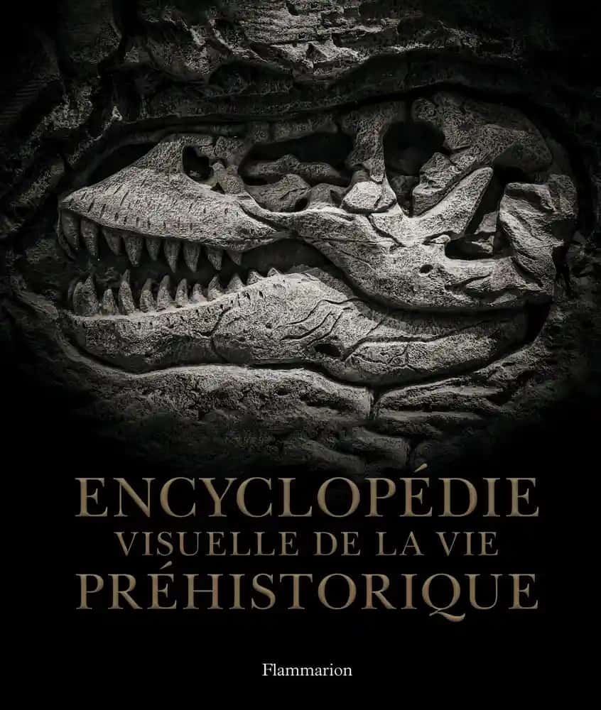 L'<em>Encyclopédie visuelle de la vie préhistorique</em> est un beau cadeau à glisser au pied du sapin. © Flammarion