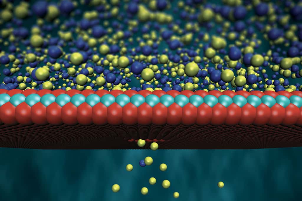 Les chercheurs de l’EPFL ont développé une membrane sélective en disulfure de molybdène de seulement trois atomes d’épaisseur qui permet de tirer un maximum de profit de l’énergie osmotique. © Steven Duensing,<em> National Center for Supercomputing Applications, University of Illinois, Urbana-Champaign</em>