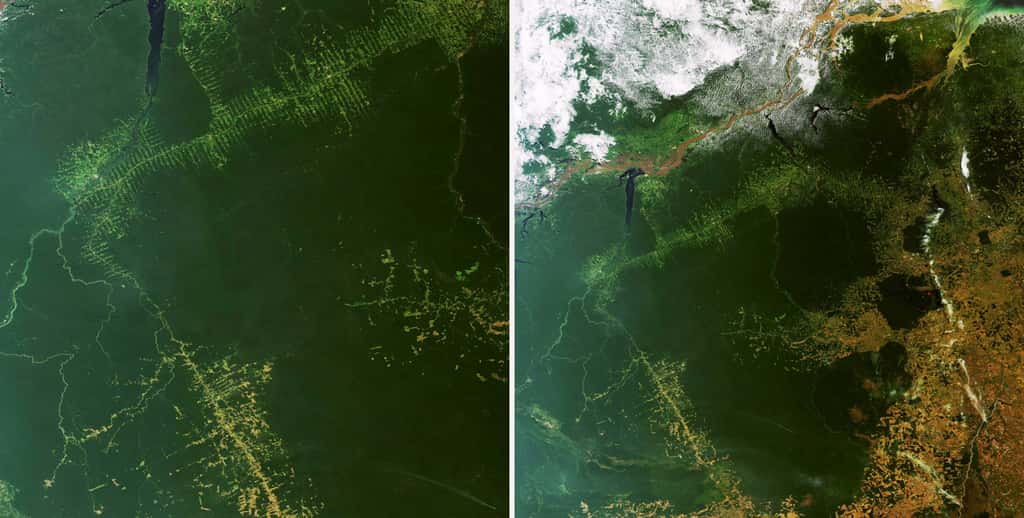 Progression de la déforestation dans le Mato Grosso, au sud du Brésil, au fil de l'urbanisation et de l'extension des terres agricoles, suivie par le satellite Envisat. © Astrium GEO-Information Services