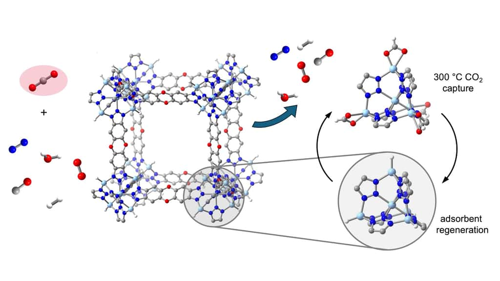 Ici au centre, l’un des éléments constitutifs d’une structure métallo-organique (MOF) thermiquement stable, connue sous le nom de ZnH-MFU-4l. Cette structure est capable de capturer de manière réversible et sélective le dioxyde de carbone (CO<sub>2</sub>) – sur fond rouge, parmi d’autres molécules, à gauche – dans un mélange de nombreux gaz industriels. Le MOF peut capturer le CO<sub>2</sub> sur de nombreux cycles à 300 °C, qui est une température typique des flux d’échappement des cimenteries et des aciéries. À droite, le mécanisme par lequel les groupes hydrures de zinc du MOF se lient et libèrent de manière réversible les molécules de CO<sub>2</sub>. Les sphères bleu clair, grises, bleues, rouges et blanches représentent respectivement les atomes de Zn, C, N, O et H. © Rachel Rohde, Kurtis Carsch et Jeffrey Long, UC Berkeley