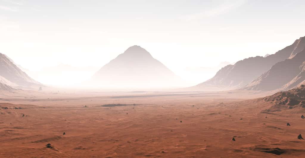 Sur Mars, le taux d’érosion serait comparable, dans certains cas, à celui des champs de dunes froides et arides sur Terre. © Peter Jurik, Fotolia