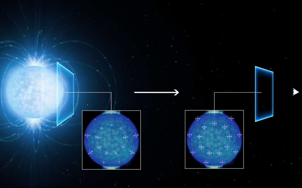 Un schéma montrant les directions des champs magnétiques (flèches rouges) et électriques (flèches bleues) des rayons lumineux émis par une étoile à neutrons. Après son passage dans le champ magnétique extérieur à l'étoile, ces champs sont orientés dans une même direction, on parle de polarisation linéaire dans ce cas précis car ils restent sur des droites parallèles. © ESO, L. Calçada