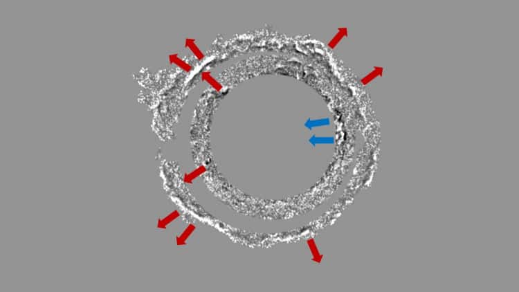 Cette image de Cassiopée A montre seulement deux coquilles de la nébuleuse. Les flèches bleues sur la droite — le côté que les astronomes appellent côté ouest — montrent que la coque intérieure ne s’étend pas vers l’extérieur, mais vers l’intérieur. Les flèches rouges montrent que les autres restes de l’explosion en supernova s’étendent bien vers l’extérieur. © J.Vink, Université d’Amsterdam