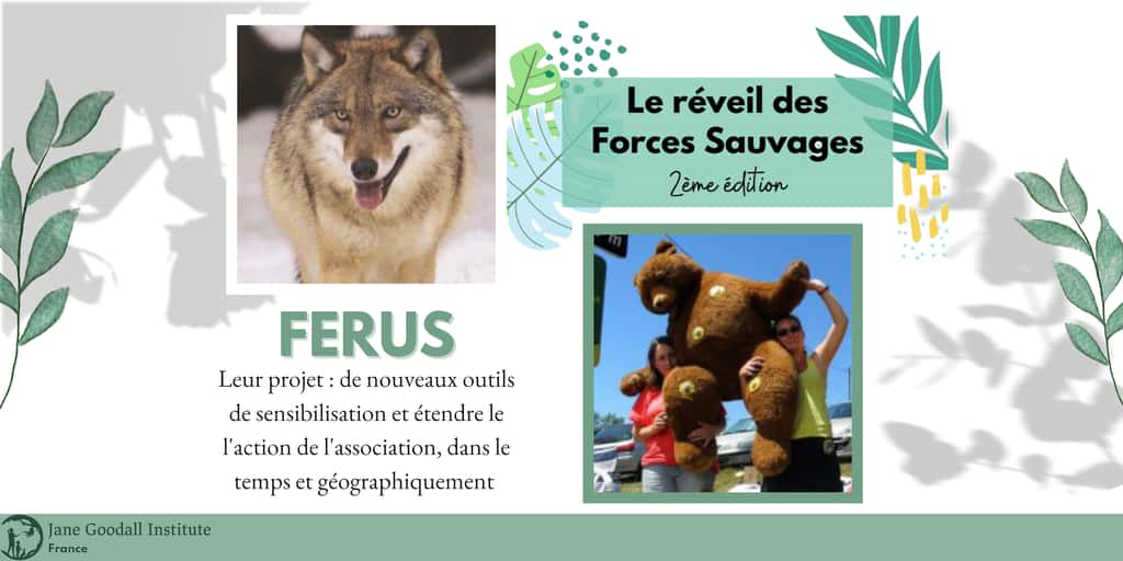 L’association Ferus se bat pour les grands prédateurs. © <em>Jane Goodall Institute France</em>