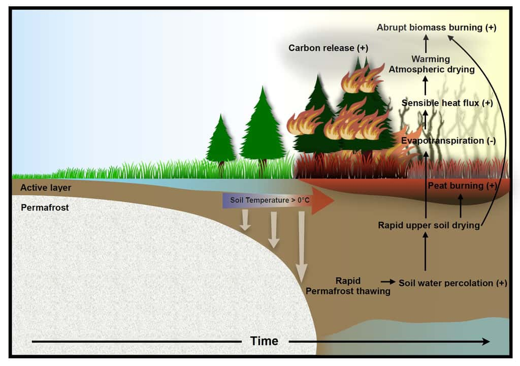 Voici comment le réchauffement climatique et le dégel du permafrost entraînent une intensification des feux de forêt dans les régions arctiques. © In-Won Kim, Centre de physique climatique de l’IBS