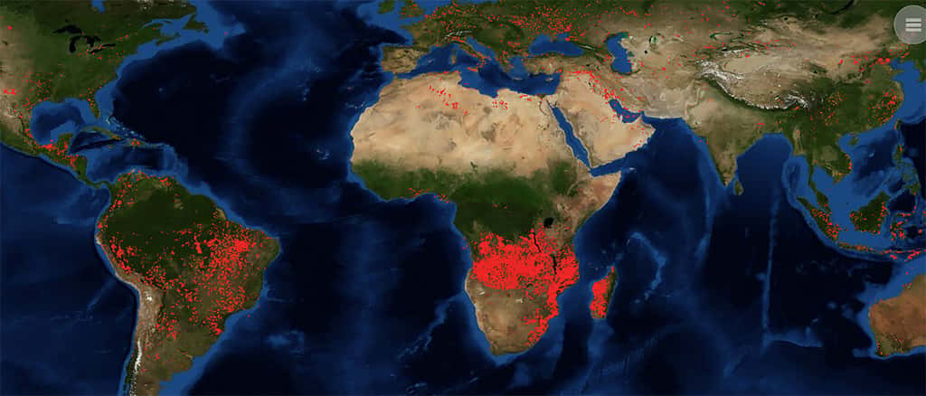 Un spécialiste de l'Afrique note toutefois que les feux observés par la Nasa, au 27 août depuis ces dernières 24 heures, ne correspondent pas aux zones des forêts du bassin du fleuve Congo. © Nasa