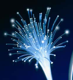 Chaque câble de fibre optique traversant l'océan Arctique délivrera une vitesse de connexion de 1 térabit/seconde. © Scal-Ch