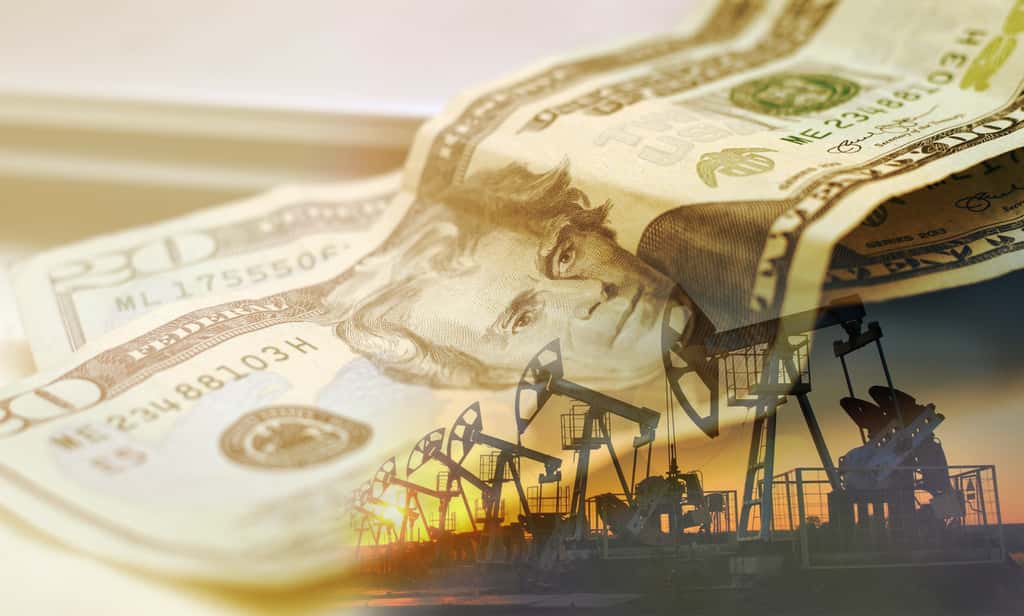 Les États songent à arrêter le financement des énergies fossiles. © EUDPic, Adobe Stock