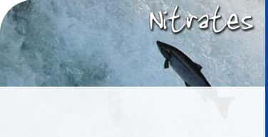 Environnement - Nitrates