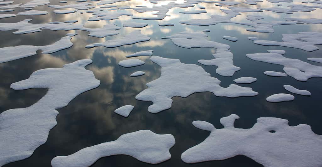 En 2011, une mission de la Nasa, <em>« Impacts du climat sur les écosystèmes et la chimie de l’environnement du Pacifique arctique »</em>, a photographié les glaces de mer arctiques, notamment du côté du gyre de Beaufort. Un système de circulation qui selon des chercheurs de la Nasa (États-Unis) est aujourd’hui perturbé par la fonte des glaces. © Kathryn Hansen, Nasa