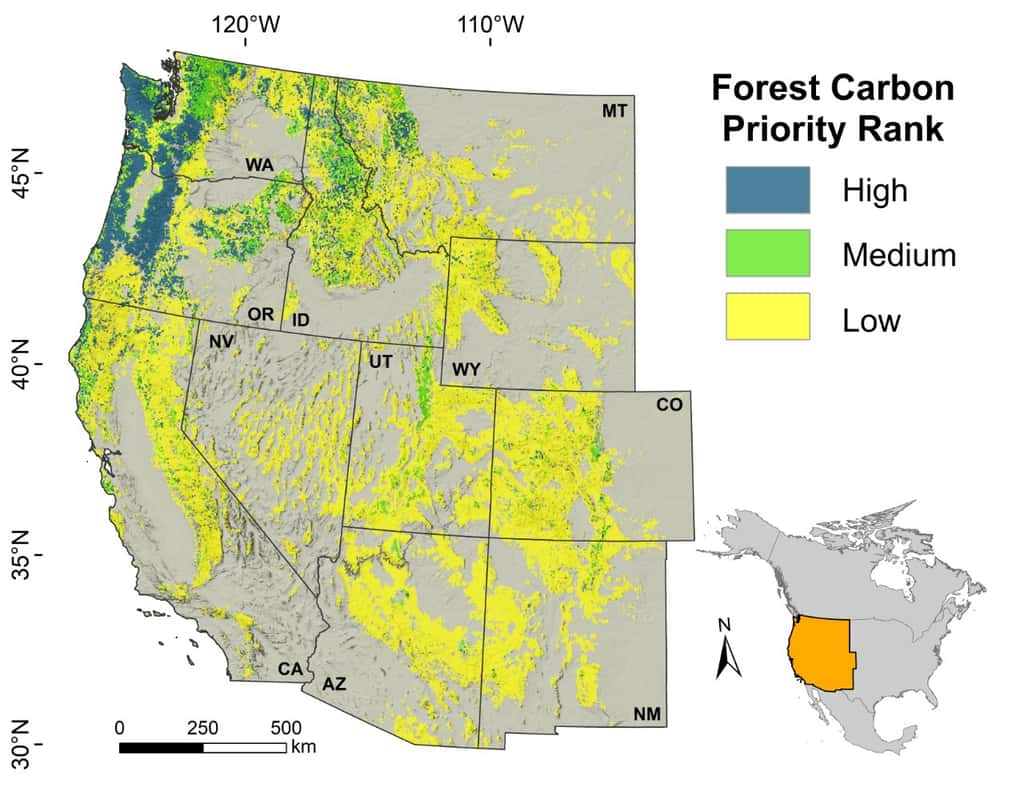 La carte des forêts dans l’ouest des États-Unis en fonction de leur potentiel de séquestration du carbone : important en bleu, moyen en vert et faible en jaune. © Université de l’État de l’Oregon