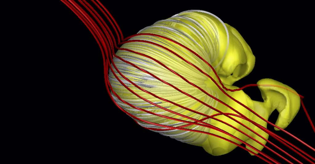 Notre héliosphère ressemblerait à ça ! © Merav Opher <em>et al.</em>, Université de Boston