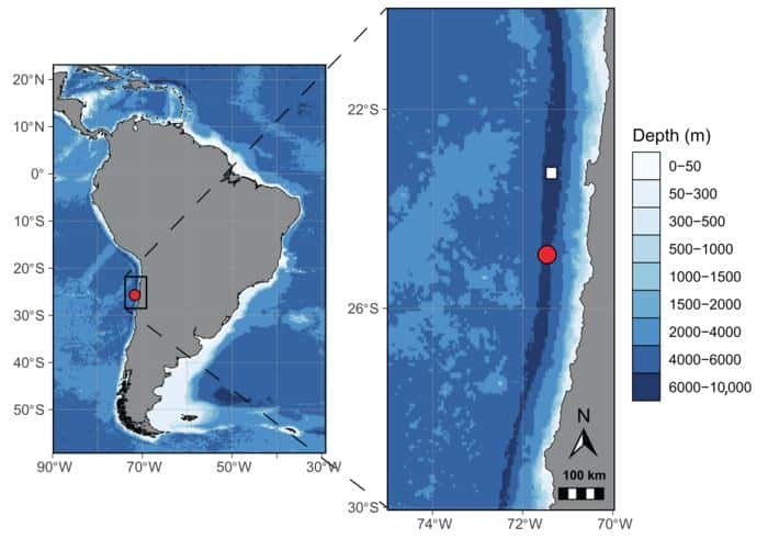 <em>Dulcibella camanchaca</em> a été découvert dans la fosse d’Atacama, localisée sur ces cartes. © Johanna Weston, <em>Woods Hole Oceanographic Institution</em>