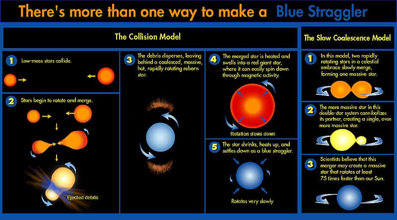 Schéma des deux théories expliquant la formation des traînardes bleues. À gauche la collision et à droite la fusion de binaire en contact. Des étoiles rouges vieilles donnent donc une seule étoile bleue ressemblant à une jeune étoile. © R. Saffer (<em>Villanova University</em>), D. Zurek (STScI), Nasa