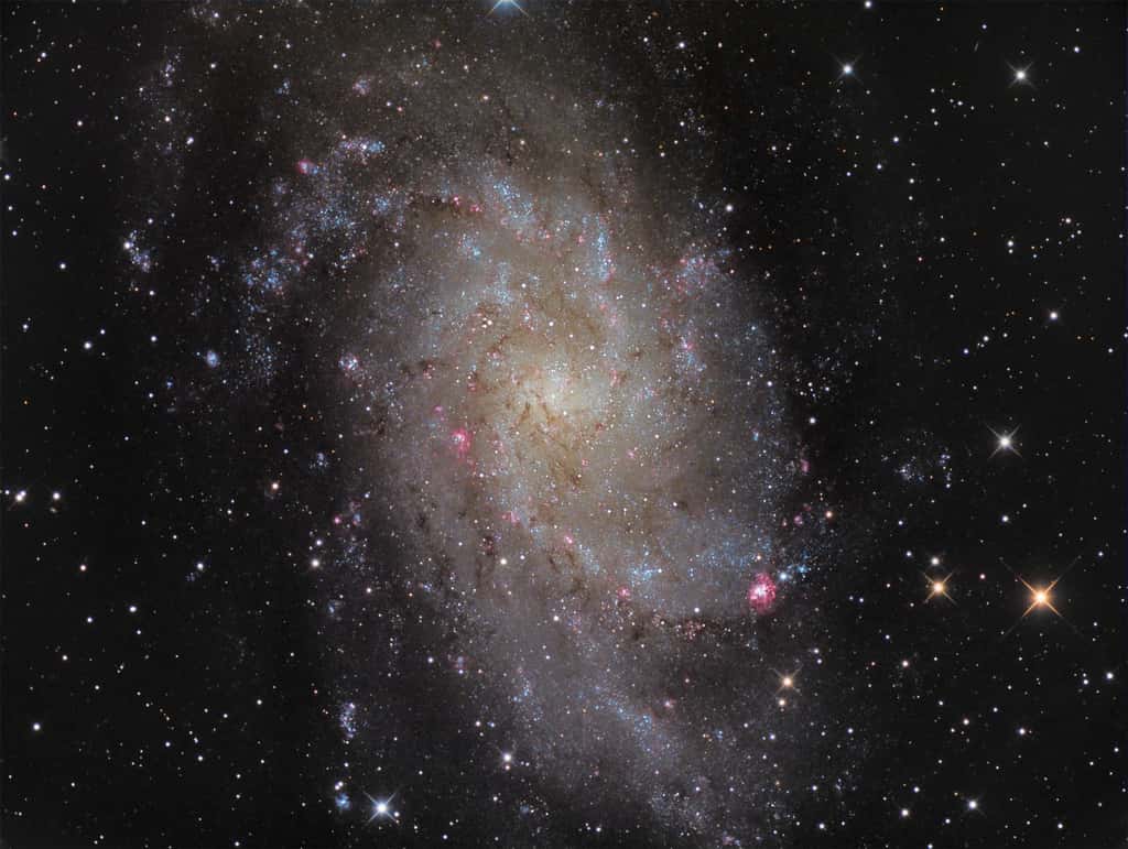 Sa majesté M 33, la galaxie du Triangle. © Manfred Konrad