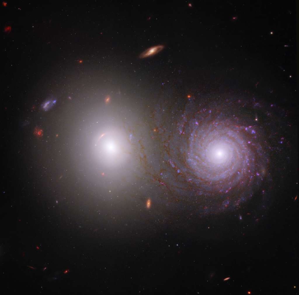 Cette image montre une galaxie elliptique, à gauche, et une galaxie spirale, à droite. Le tout grâce aux données du proche infrarouge renvoyées par le télescope spatial James-Webb et aux données des domaines des ultraviolets et du visible captées par le télescope spatial Hubble. © Nasa, ESA, CSA, Rogier Windhorst (ASU), William Keel (Université d’Alabama), Stuart Wyithe (Université de Melbourne), équipe JWST Pearls, Alyssa Pagan (STScI).