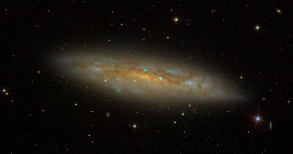 M108 — ou encore NGC 3556 — est surnommée la galaxie de la planche de surf pour sa forme caractéristique. © <em>Sloan Digital Sky Survey</em>, Wikipédia, CC by-4.0