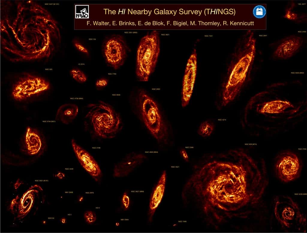La distribution de nuages d'hydrogène dans des galaxies proches de la Voie lactée observée avec le VLA. © RAO/AUI et Fabian Walter, <em>Max Planck Institute for Astronomy</em>