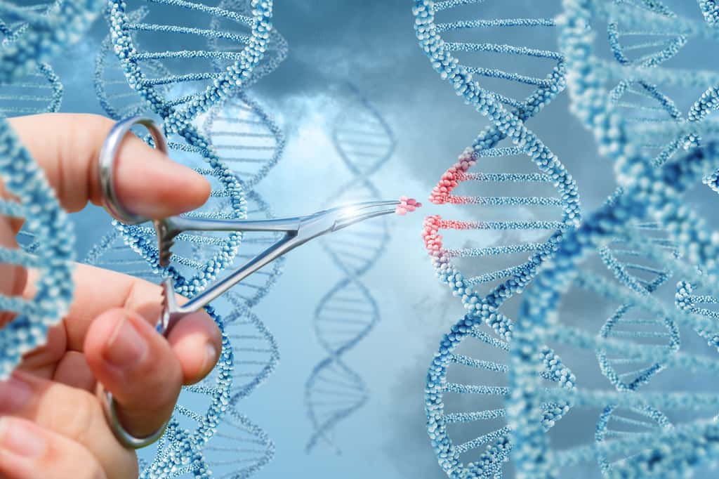 Des scientifiques ont développé un test de diagnostic basé sur la technologie CRISPR pour détecter le SARS-CoV-2 dans des échantillons. © natali_mis, Adobe Stock
