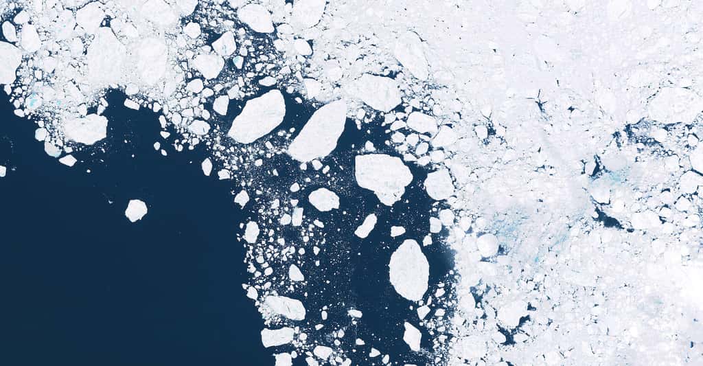 En juin 2022, l’étendue de la banquise antarctique a atteint un niveau bas record. À la fin de l’été de l’Antarctique, en février dernier, un record a aussi été atteint avec un niveau mesuré à presque 30 % de moins que la moyenne des dix dernières années. Le plus faible niveau depuis le début des mesures par satellites en 1978. © Alexander, Adobe Stock