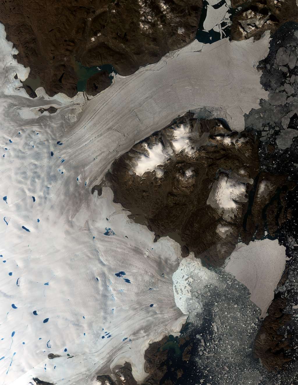 La désintégration du glacier Zachariae Isstrom sur une image du satellite Landsat, en août dernier. © Christopher Shuman, University of Maryland
