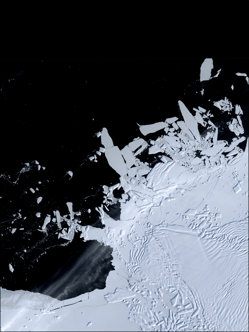 Cette image du satellite Landsat 8 montre le front fortement crevassé du glacier Thwaites, le glacier de la fin du monde, dans l’Antarctique occidental. Les chercheurs craignent qu’il soit prochainement victime d’un épisode d’effondrement rapide. © Nasa, USGS, Dr. Frazer Christie, <em>Scott Polar Research Institute, University of Cambridge</em>