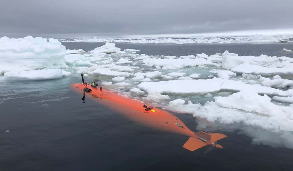 Le véhicule sous-marin utilisé par les chercheurs pour explorer le plancher océanique situé en bordure du glacier Thwaites, en Antarctique. © Anna Wahlin, Université de Göteborg
