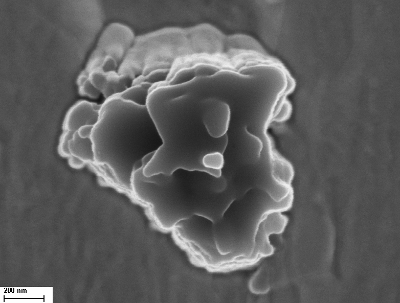  Un grain présolaire contenant les isotopes de silicium et de soufre traduisant une origine remontant aux éjectas d'une supernova. © Peter Hoppe, <em>MPI for Chemistry</em>