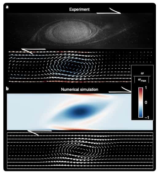Les chercheurs de l’université d’Aix-Marseille (France) ont recréé la Grande Tache rouge de Jupiter en laboratoire (en haut) et par simulation numérique (en bas). © D. Lemasquerier et al., Nature Physics