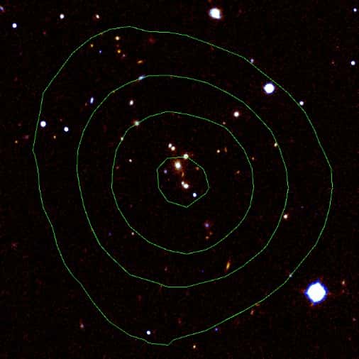 Une image des galaxies de l'amas XMMU J2235.3-2557 fournie par le télescope japonais Subaru. Les isophotes correspondent à l'intensité de l'émission en rayons X. Ce genre d'amas avec une Brightest cluster galaxies en son centre a été étudié par les astronomes de l'Université de Liverpool. Crédit : Liverpool John Moores University