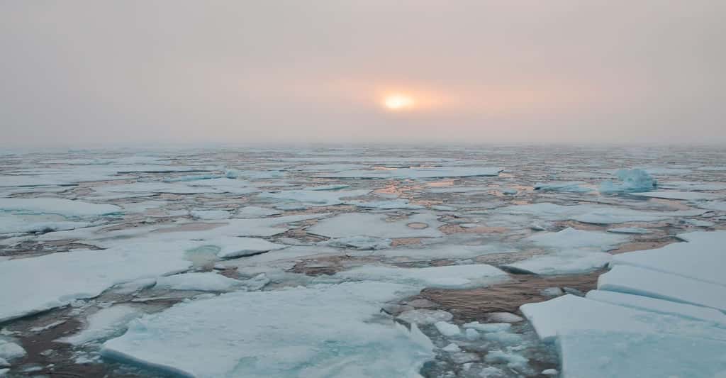 La station polaire va se laisser dériver à travers les glaces, entre l'Arctique et l'Europe, pendant des missions d'environ cinq mois. © Peigen Lin, <em>Woods Hole Oceanographic Institution</em>