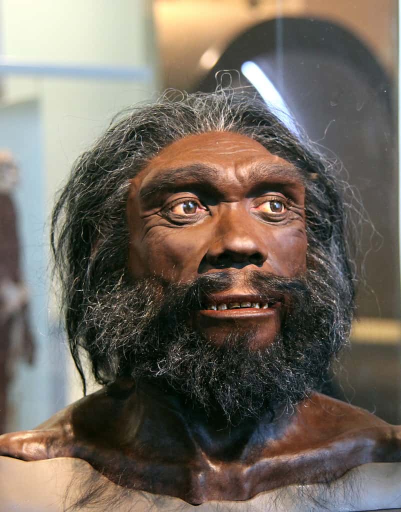 L'Homme de Denisova a-t-il fauté avec <em>Homo heidelbergensis</em> durant sa migration ? Ou était-ce avec une espèce encore inconnue des scientifiques ? © Tim Evanson, Flickr, cc by sa 2.0