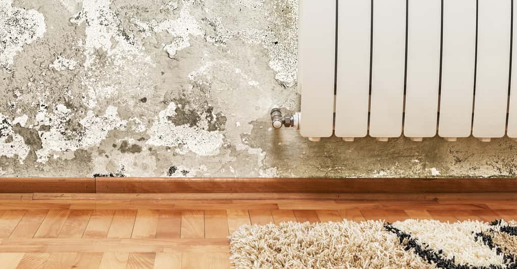 Humidité de la maison : Comment lutter contre les remontées capillaires ? © jocic, Shutterstock