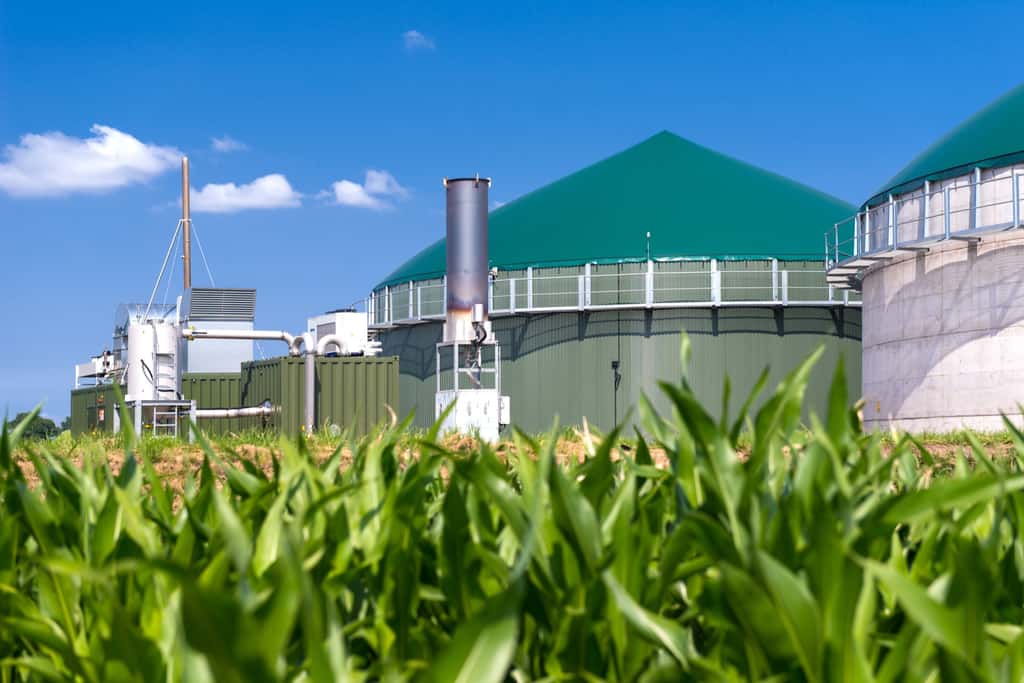 Le biogaz, obtenu à partir des déchets organique, peut produire de l'hydrogène vert. Ici, une installation de traitement et de production. © Wolfgang Jargstorff, Adobe Stock