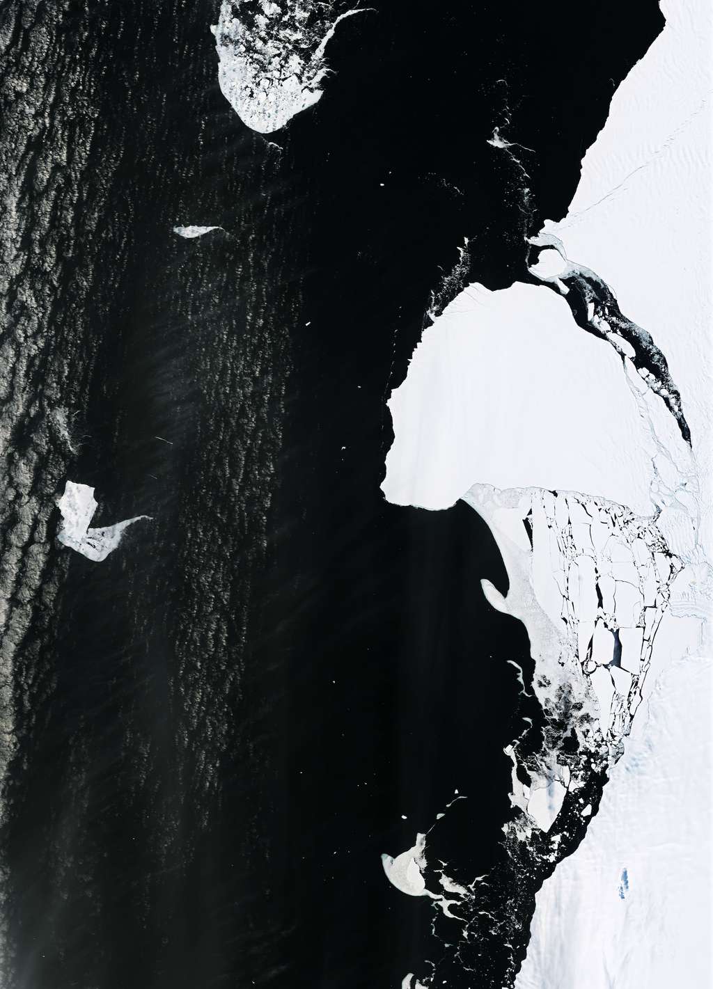 Deux jours après le vêlage l’iceberg A-81 à la dérive dans la mer de Weddell, en Antarctique. © Terra, Nasa