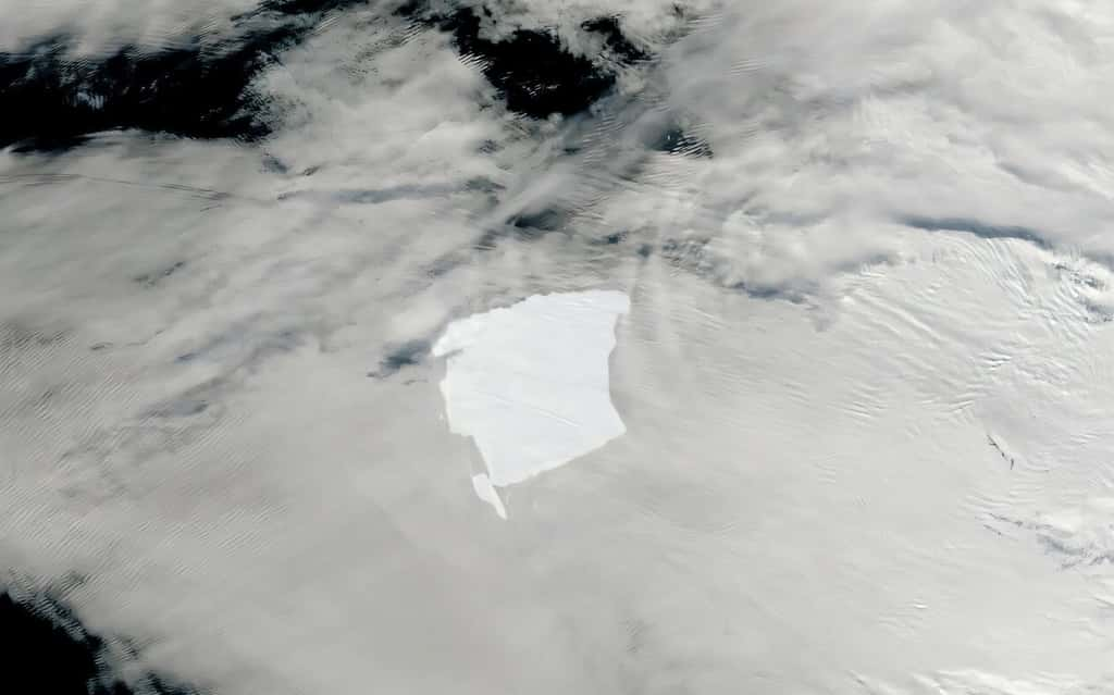 L’iceberg le plus grand du monde vient de perdre un morceau d’une vingtaine de kilomètres de long. © Nasa Worldview