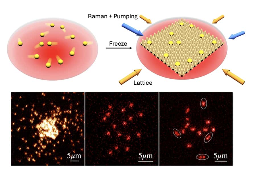 Les deux représentations du haut montrent comment des atomes itinérants dans un piège à atomes (rouge) sont soudainement figés grâce à un réseau optique. En bas, les trois images microscopiques montrent (de gauche à droite) du sodium (<sup>23</sup>Na) bosonique formant un condensat de Bose-Einstein, un état de spin unique dans un mélange de Fermi (<sup>6</sup>Li) à faible interaction et les deux états de spin d’un mélange de Fermi à forte interaction, révélant directement la formation de paires. © MIT