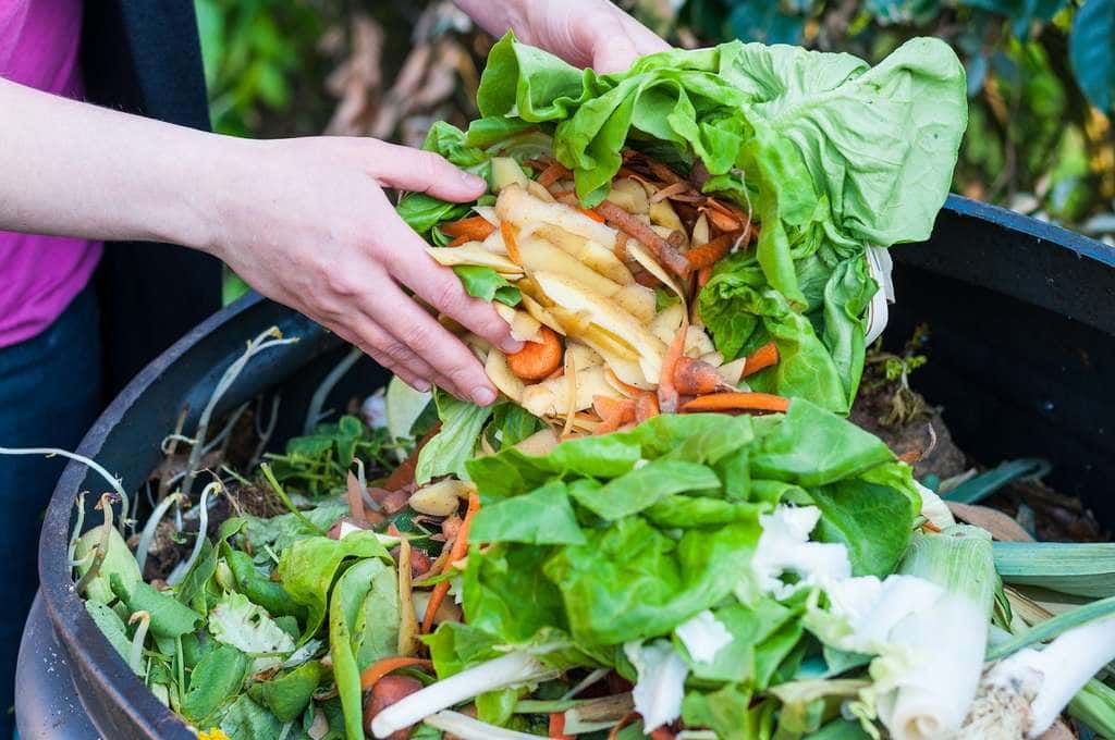 Faute de mieux le compostage est une solution pour valoriser ses déchets alimentaires. © Pixavril, Shutterstock 