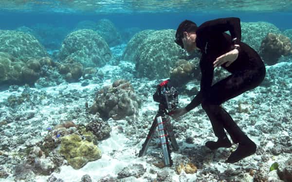 Ved Chirayath prend en photo les récifs coralliens sous l'eau, à l'aide d'un appareil à 360°. © Dan Griffin, Université Stanford