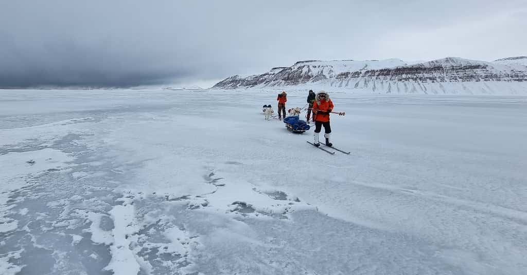 L'archipel norvégien du Svalbard subit des transformations d'une année sur l'autre. © Climate Sentinels