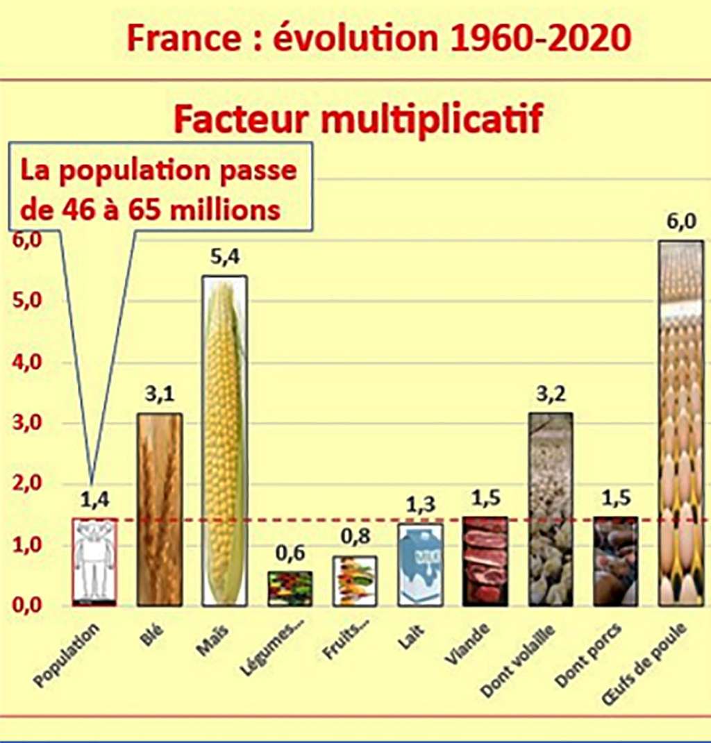 Graphique « France : évolution 1960-2020 ». © Bruno Parmentier