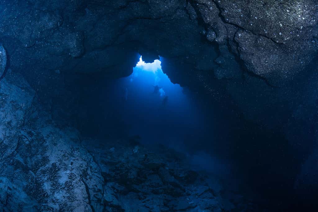 Blue Hole de Misool (photo prise au fond du gouffre à 64 mètres de profondeur). © Gabriel Barathieu, tous droits réservés 