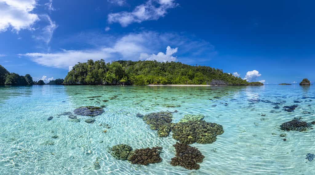 Panorama d'un des nombreux îlots de Misool. © Gabriel Barathieu, tous droits réservés