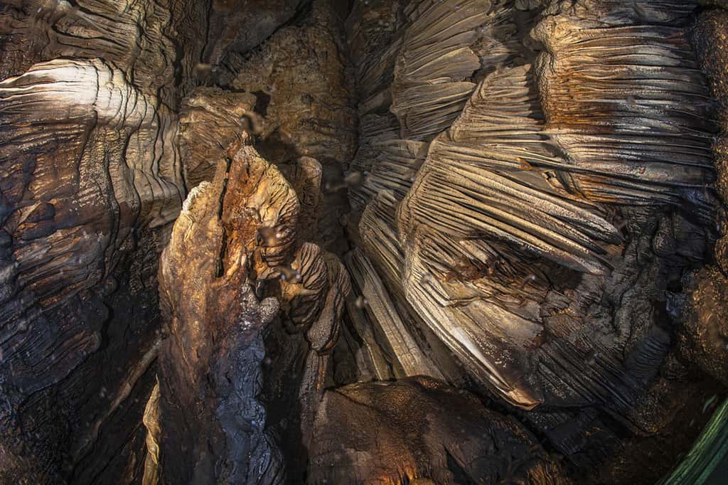 Vue du plafond de la grotte avec les impressionnantes stalactites. © Gabriel Barathieu, tous droits réservés
