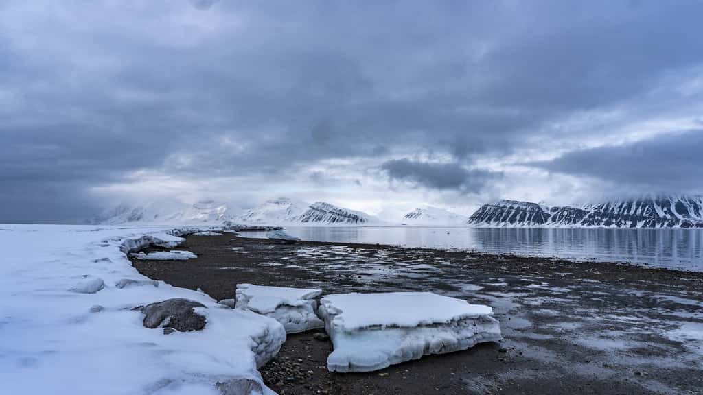 Expédition unique au cœur du Haut-Arctique, sur l'archipel norvégien du Svalbard. © Climate Sentinels 